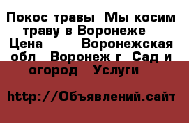 Покос травы. Мы косим траву в Воронеже. › Цена ­ 50 - Воронежская обл., Воронеж г. Сад и огород » Услуги   